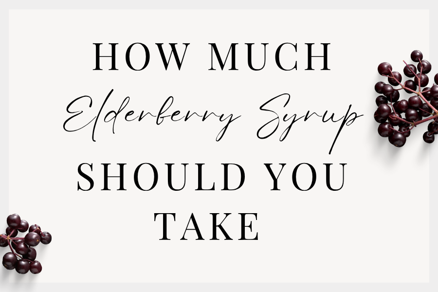 How much Elderberry Syrup Should You Take on a clean white canva with elderberries on both sides