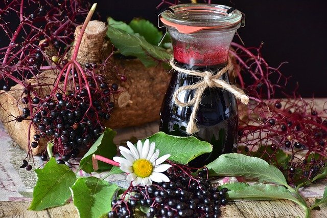 Why is Elderberry Syrup so Popular?