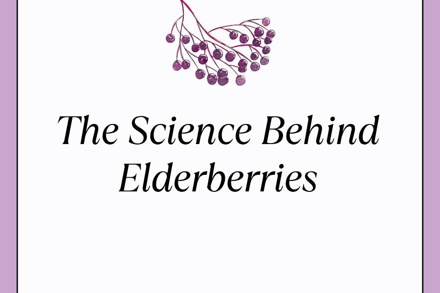 a drawn cluster of elderberries with the words The Science Behind Elderberries.